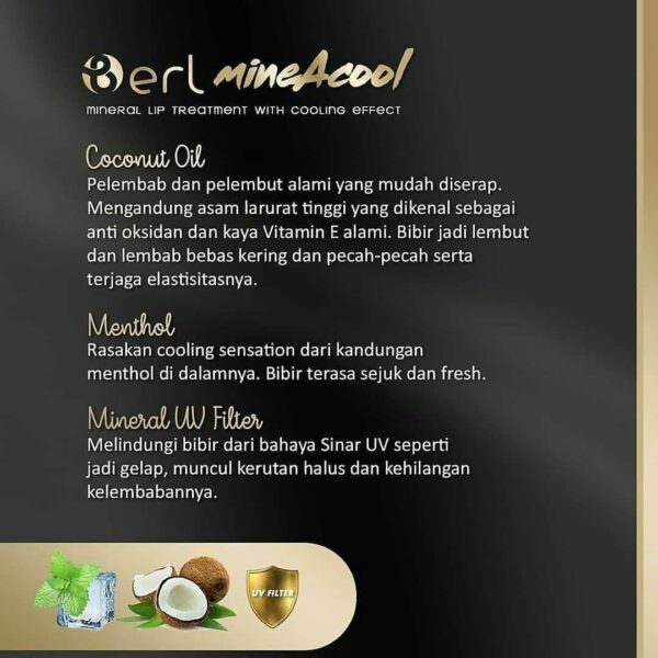 Kandungan Lip Treatment B Erl