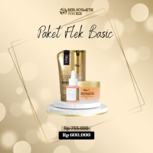 Paket Flek Basic B Erl Cosmetics